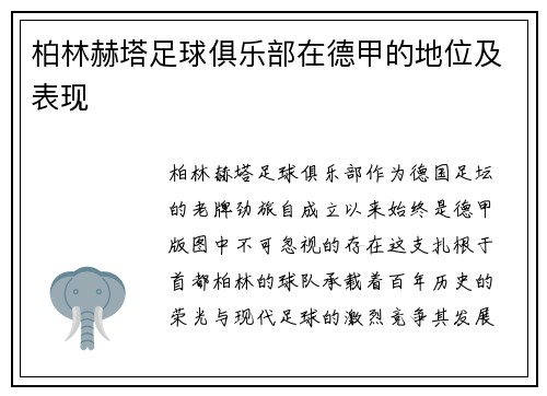 柏林赫塔足球俱乐部在德甲的地位及表现